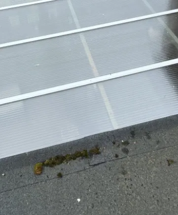 Gutter and facia Cleaning